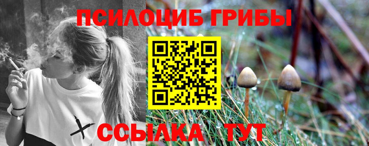 Галлюциногенные грибы Psilocybe Ухта