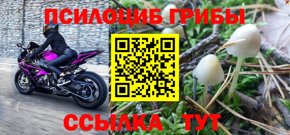 Ухта  наркота  Вход с VPN  Псилоцибиновые грибы MAGIC MUSHROOMS 